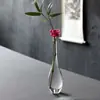 Jarrón de Vidrio Transparente Soplado Arreglo Floral Adornos Florales Hidropónicos Decoraciones de Mesa para Sala de Estar en Casa Botella Zen Guanyin