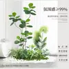 Plantas Verdes Artificiales para Paisajismo de Interiores, Plantas para Espacios de Escaleras, Plantas en Maceta para Esquinas, Árboles Artificiales para Decoración de Paisajismo
