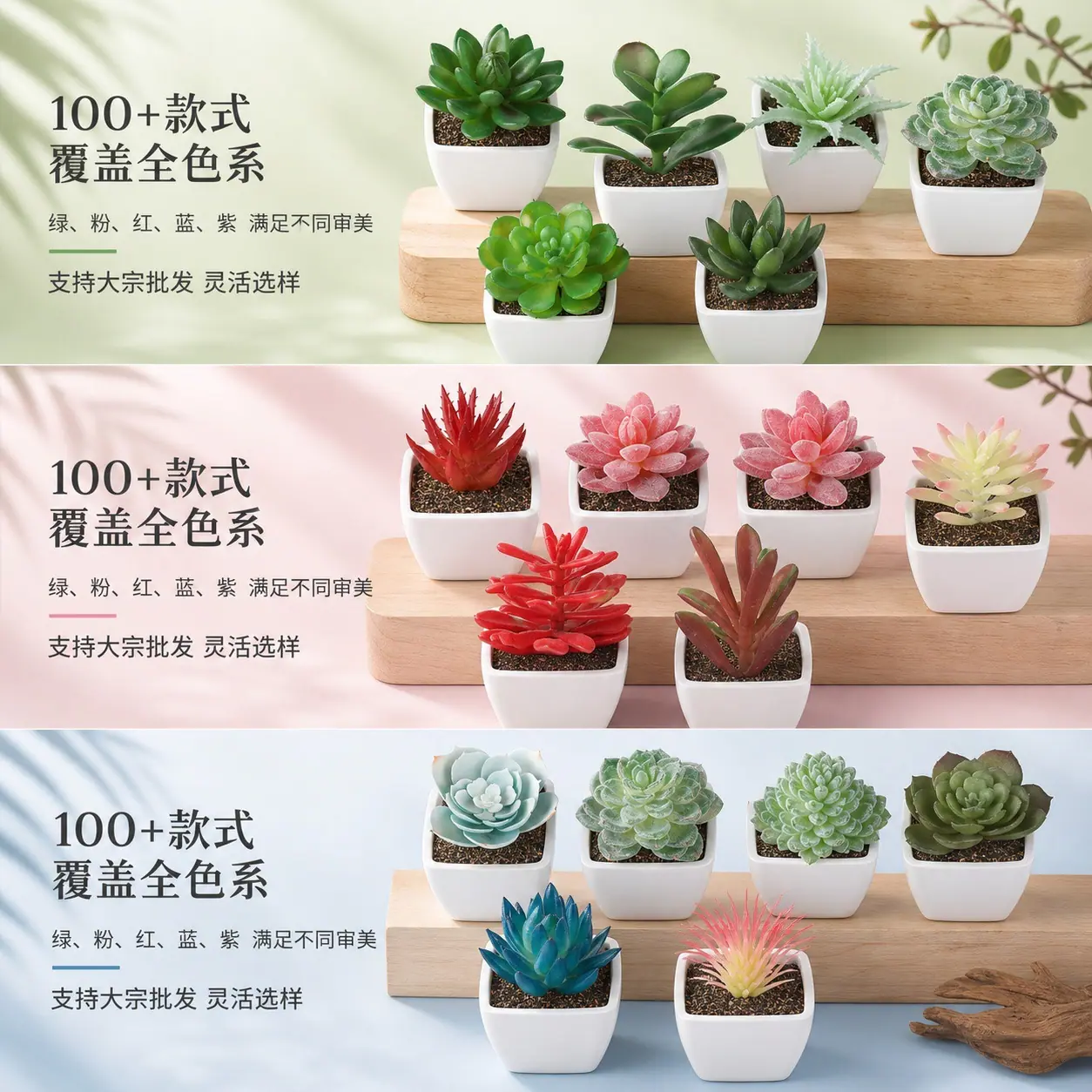1307多肉详情页 (6).jpg