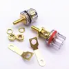 Varilla de Cobre Chapada en Oro Amplificador de Potencia Altavoz Audio 520 Transparente de Cristal Terminal de Unión Medio Enchufe Banana de 4 mm para Altavoz