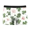 Roupa Íntima Masculina Série São Patrício Europeia e Americana Transfronteiriça Boxer Brief Casual Masculino com Estampa Digital 3D