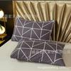 Fundas de almohada malasias para exportación, Fundas de almohada de estilo Ins de venta caliente transfronteriza en el Sudeste Asiático, Fundas de almohada engrosadas para exportación