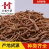 1000 Gramos de Taizi Shen (Princesa Ginseng) Medicina Herbal China, Suministro al por Mayor de Nuevo Stock de Taizi Shen, Grandes Cantidades Disponibles a Precios Favorables