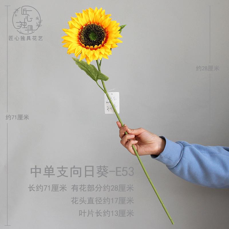 中单支向日葵 E53