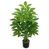 Plantas Verdes Artificiales, Árbol del Dinero, Hojas de la Fortuna, Flores Falsas para Sala de Estar, Hotel, Hogar, Restaurante, Plantas en Maceta Hojas de la Fortuna, Venta al por Mayor desde el Fabricante