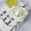 Tecido de Lixa para Simulação Botão de Rosa Conjunto para Auditório de Casamento Evento em Shopping Center Decoração de Feriado Dia dos Namorados Cabeça de Rosa