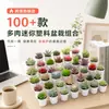 Más de 100 Tipos de Combinaciones de Plantas Suculentas Mini de Plástico Simuladas en Maceta, Mini Bonsáis Suculentos Más Vendidos Transfronterizos, Decoración para el Hogar, Adornos Creativos