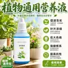 Solución nutritiva planta universal rábano verde rico bambú árbol de la fortuna carnoso cultivo de agua flores plantas verdes maceta flor fertilizante