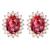 Aretes en Vivo Mujer Ins Amor Plata Esterlina S925 Zircón Seis Garras Aretes de Zircón Aretes