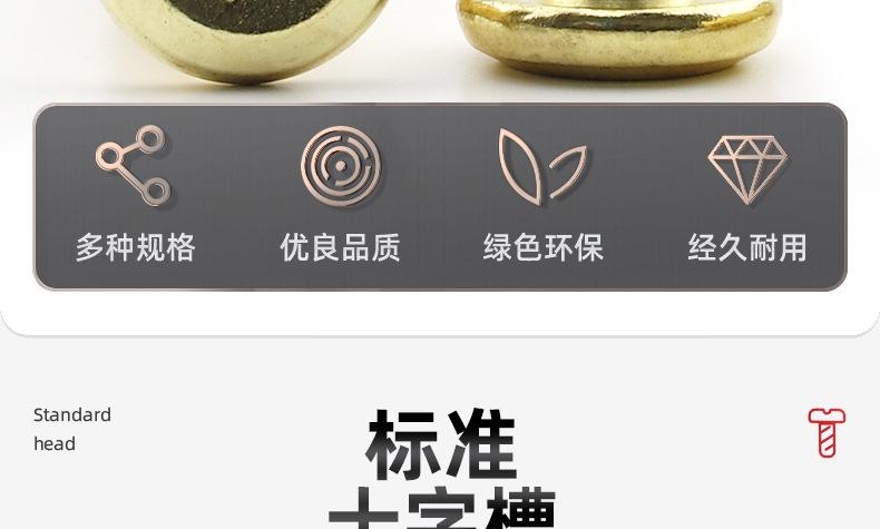金色304不锈钢倒边十字螺丝_03_04.jpg