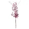 Estrella Hueca Flor de Baya Navideña Esquejes Decoración Festiva Transfronteriza Accesorios de Ambiente Festivo Hojas Navideñas Navidad