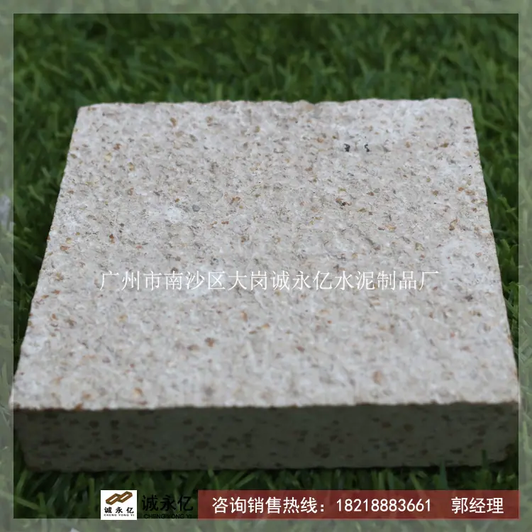 PC通体砖30009.jpg