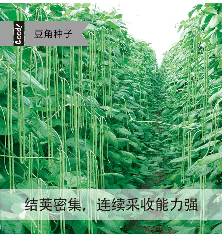 华骏三号03-3