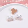 Otoño e Invierno lindo panda sosteniendo bambú nalga de panda parche de resina DIY funda de teléfono pasador accesorios para el cabello material al por mayor