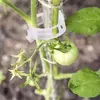 Clip Fijador de Plantas de Árboles Frutales Blancos Clip Clip Soporte para Enredaderas Plántula Soporte para Trepar Varilla Clip Colgante para Plántulas de Frutas y Verduras