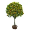 Mudas de Osmanthus São Plantadas no Solo, Grandes Plantas de Osmanthus Dourado e Osmanthus Vermelho Perenes de Quatro Estações em Vasos, Flores Fragrantes para Varanda, Plantas de Jardim Resistentes ao Frio