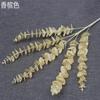 Venta al por mayor del fabricante Eucalipto Artificial de 5 Puntas Hoja de Dinero Decoración para el Hogar Boda Arreglo Floral Hotel Boda Piso Flor de Seda