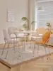 Respaldo de Silla de Comedor Nórdico Diseño de Concha Silla de Ocio Diseñador Taburete B&B Silla de Café Hotel Acrílico Hogar