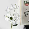 5 Orquídeas Phalaenopsis Artificiales para Arreglos Florales de Boda, Orquídeas Mariposa Falsas, Flores Artificiales Phalaenopsis