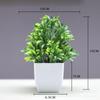 Venda quente transfronteiriça Simulação de planta Planta falsa Planta verde Decoração interna e externa Simulação de eucalipto em vaso de plástico Planta pequena em vaso