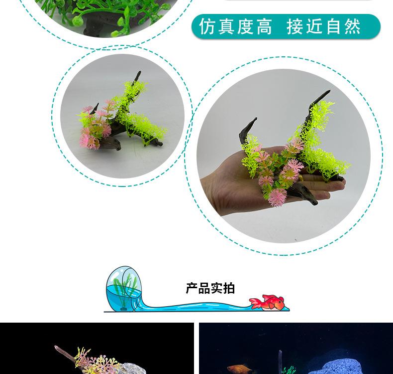 详情_03.jpg