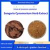 Extrato de Cynomorium, Pó de Cynomorium Solúvel em Água, Alcaloides de Cynomorium, Várias Especificações, Grandes Quantidades, Preços Favoráveis, A partir de 1kg