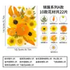 Kit DIY de Flores Prensadas e Folhas Secas Mistas para Artesanato Pai e Filho, Kit de Materiais de Flores Secas para Resina, Espécimes de Flores Naturais Prensadas