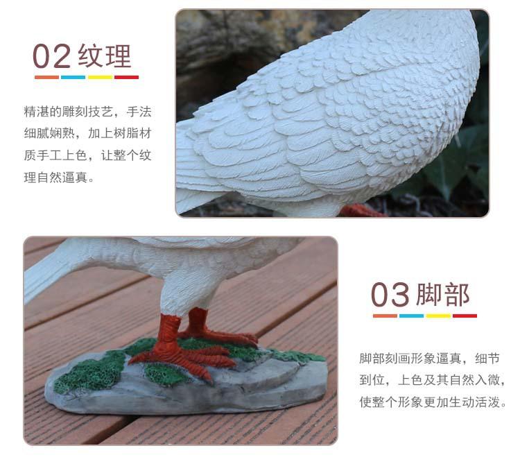 鸽子_20.jpg