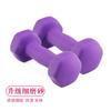 Dumbbells de hierro puro para damas y hombres 1/2/3/4/5kg color par de mancuernas equipo de fitness mancuernas con revestimiento esmerilado