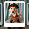 Ropa de Transformación de Pirata para Perro Mascota Ropa Universal de Dos Patas para Mascota Ropa Linda de Transformación de Pirata para Mascota