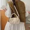 Bolsa de Mão Pequena Quadrada Plissada Feminina Modelo Novo 2026 com Acabamento de Alto Padrão, Bolsa Feminina de Nicho Estilo Coreano para o Dia a Dia, Bolsa Transversal Estilo Almofada