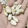 Venda Quente Transfronteiriça Contas Espaçadoras Acrílicas Imitação de Concha Pingente Borboleta Estrela do Mar Concha Pingente Acessórios de Vestuário DIY Atacado