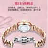 Reloj de Cuarzo Pequeño para Mujer Marca POEDAGAR/Baodaga para Comercio Exterior Ultra-delgado Correa de Acero Hebilla de Mariposa Resistente al Agua 719