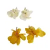 Brincos de Chiffon com Flor e Franja Agulha de Prata Diamante Brancos Super Fada Brincos de Moda de Alto Padrão para o Dia a Dia All-match para Mulheres