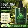 ZBARSE Usman Champú de Hoja de Cedro Herbal: Extracto herbal para limpieza profunda, refrescante y control de grasa