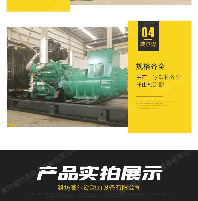 上海800千瓦发电机组_06.jpg