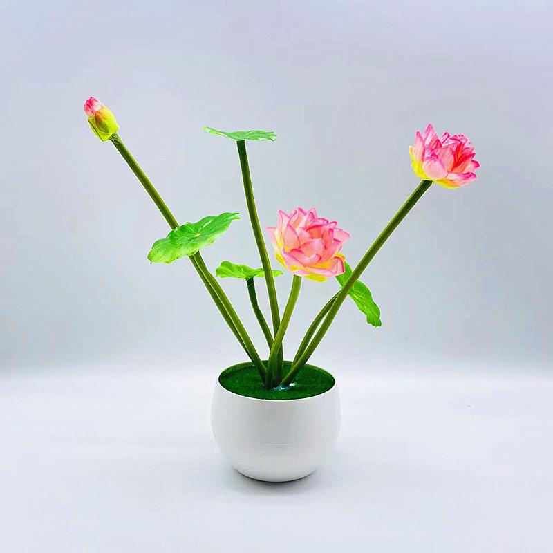 微信图片_20220626083740_副本