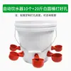 Dispensador de agua para pollitos comedero para pollos bebedero para cría de pollos comedero para patos gansos palomas uso en aves de corral pollos bebedero automático