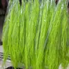 Hierba Barba de Dragón Flor Eterna Flor Seca Real Sueño de Yunnan Decoración Suave Materiales de Arte Fuegos Artificiales Hierba de Pelo Largo Decoración de Boda