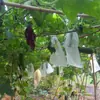 Uvas Envasadas, Tomates, Pepinos, Bolsas de Malla a Prueba de Insectos, Bolsas a Prueba de Abejas, Bolsas de Protección para Melón Amargo, Bolsas con Cordón para Lufa, Bolsas de Protección contra Moscas de la Fruta