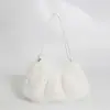 Bolso de Axila Nuevo de Imitación de Visón para Otoño e Invierno, Bolso de Felpa de Moda y Versátil, Bolso de Hombro, Bolso de Mano de Gama Alta, Bolso de Felpa