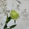 Rosa Redonda Sola Flor Artificial Flor de Boda Decoración de Boda Fila de Flores Flor de Pared en stock Flor de Seda Flor Rosa