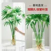 Bambú Dorado Hidropónico Planta en Maceta de Interior para Sala de Estar, Oficina y Decoración del Hogar, Vegetación de Escritorio Fácil de Cuidar