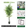 Árbol de banyan artificial para desmontaje y montaje transfronterizo para sala de estar interior, árbol de banyan artificial de planta verde en maceta con borde blanco para paisajismo de escaparates, árbol artificial