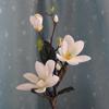 Flores Artificiales de Alta Clase Adornos de Magnolia de Tres Cabezas Decoración para Ventana Decoración Flores para Boda Ramo Falso Magnolia Terminada Flores Falsas
