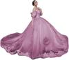 AliExpress Amazon Lace Decal Open Shoulder Adulto Cerimônia Tutu Vestido Vestido De Baile Vestido De Princesa Vestido Feminino