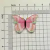 Nueva Flor de Zapato Mariposa Hebilla de Zapato Accesorios DIY Zuecos Accesorios Decorativos para Zapatos Dibujos Animados Chica Rosa Flor de Zapato
