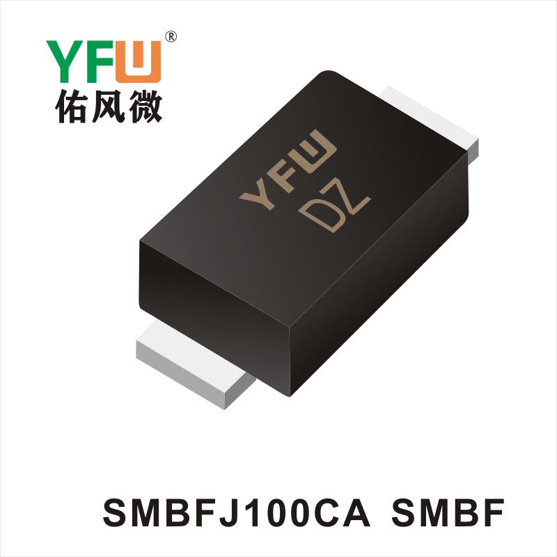SMBFJ100CA.
