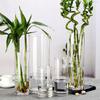 Jarrón Grande cristal transparente altura 50cm 25 arreglo floral rico bambú Lirio cilíndrico recto dispositivo de flor de despertador piso 60