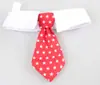Jizaizai accesorios para mascotas algodón pajarita de perro al por mayor linda mascota caballero corbata negra rayada moda mascota Cuatro Estaciones corbata roja